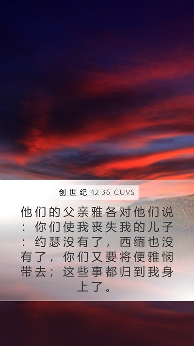 创 世 纪 42:36 CUVS Bible Verse Image