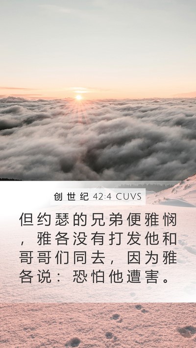 创 世 纪 42:4 CUVS Mobile Phone Wallpaper - 但 约 瑟 的 兄 弟 便 雅 悯 ， 雅 各 - Mobile Bible Verse Wallpaper