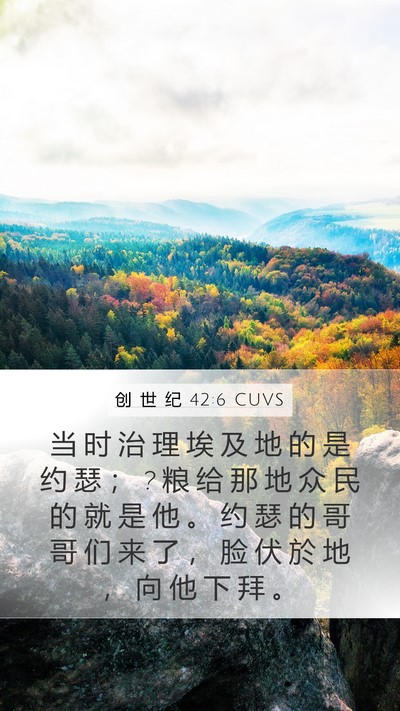 创 世 纪 42:6 CUVS Bible Verse Image