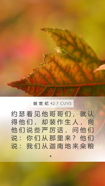 创 世 纪 42:7 CUVS Bible Verse Image
