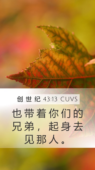 创 世 纪 43:13 CUVS Mobile Phone Wallpaper - 也 带 着 你 们 的 兄 弟 ， 起 身 去 - Mobile Bible Verse Wallpaper