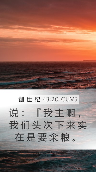 创 世 纪 43:20 CUVS Bible Verse Image