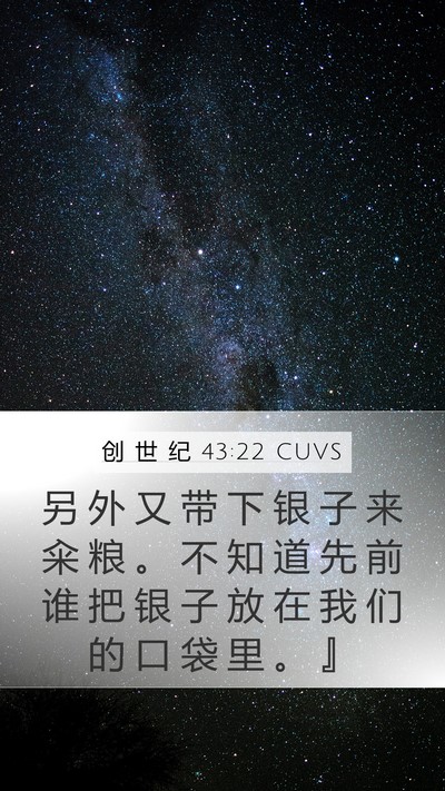 创 世 纪 43:22 CUVS Mobile Phone Wallpaper - 另 外 又 带 下 银 子 来 籴 粮 。 不 - Mobile Bible Verse Wallpaper