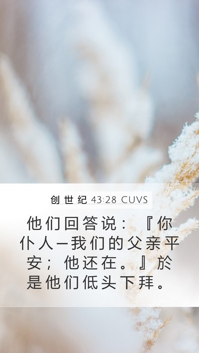 创 世 纪 43:28 CUVS Bible Verse Image