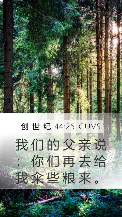 创 世 纪 44:25 CUVS Mobile Phone Wallpaper - 我 们 的 父 亲 说 ： 你 们 再 去 给 - Mobile Bible Verse Wallpaper