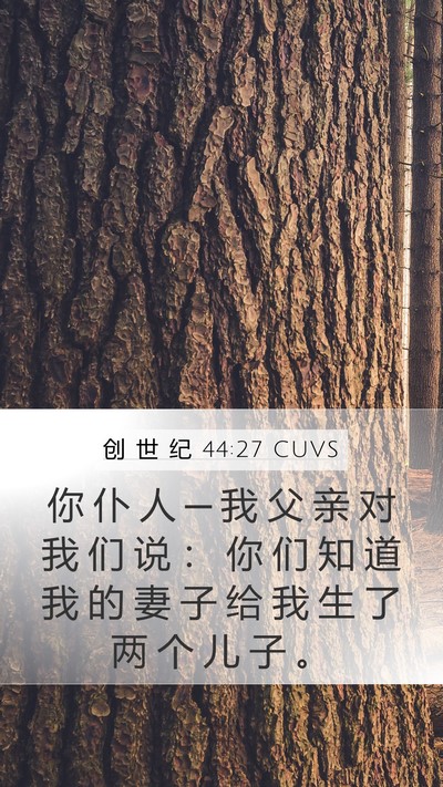 创 世 纪 44:27 CUVS Bible Verse Image