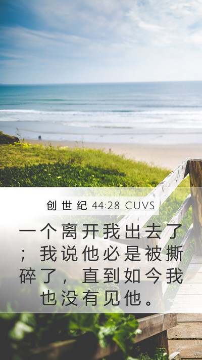 创 世 纪 44:28 CUVS Mobile Phone Wallpaper - 一 个 离 开 我 出 去 了 ； 我 说 他 - Mobile Bible Verse Wallpaper