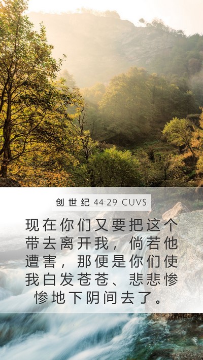 创 世 纪 44:29 CUVS Bible Verse Image
