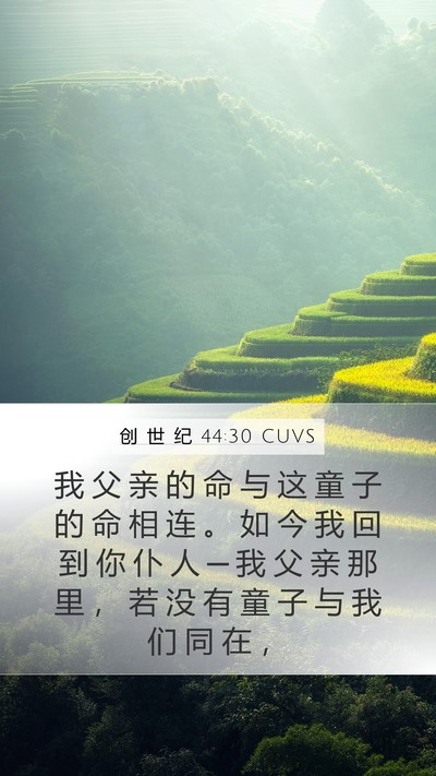 创 世 纪 44:30 CUVS Bible Verse Image