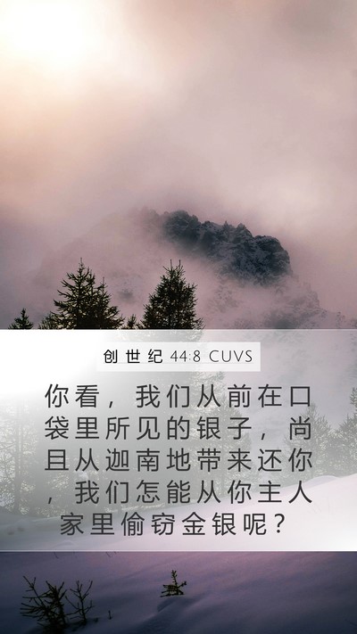 创 世 纪 44:8 CUVS Mobile Phone Wallpaper - 你 看 ， 我 们 从 前 在 口 袋 里 所 - Mobile Bible Verse Wallpaper