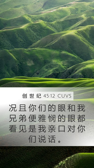 创 世 纪 45:12 CUVS Mobile Phone Wallpaper - 况 且 你 们 的 眼 和 我 兄 弟 便 雅 - Mobile Bible Verse Wallpaper