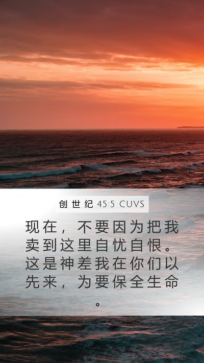 创 世 纪 45:5 CUVS Bible Verse Image