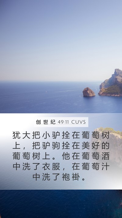 创 世 纪 49:11 CUVS Bible Verse Image