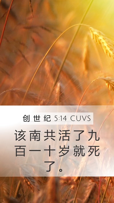 创 世 纪 5:14 CUVS Mobile Phone Wallpaper - 该 南 共 活 了 九 百 一 十 岁 就 死 - Mobile Bible Verse Wallpaper
