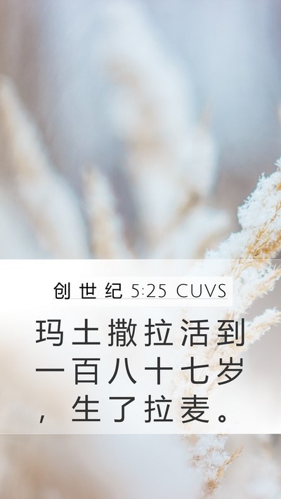 创 世 纪 5:25 CUVS Mobile Phone Wallpaper - 玛 土 撒 拉 活 到 一 百 八 十 七 岁 - Mobile Bible Verse Wallpaper