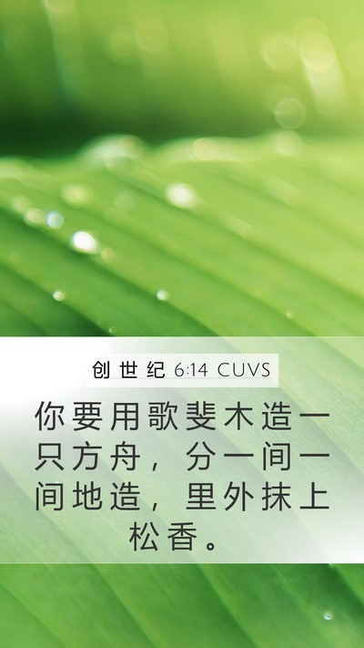 创 世 纪 6:14 CUVS Mobile Phone Wallpaper - 你 要 用 歌 斐 木 造 一 只 方 舟 ， - Mobile Bible Verse Wallpaper