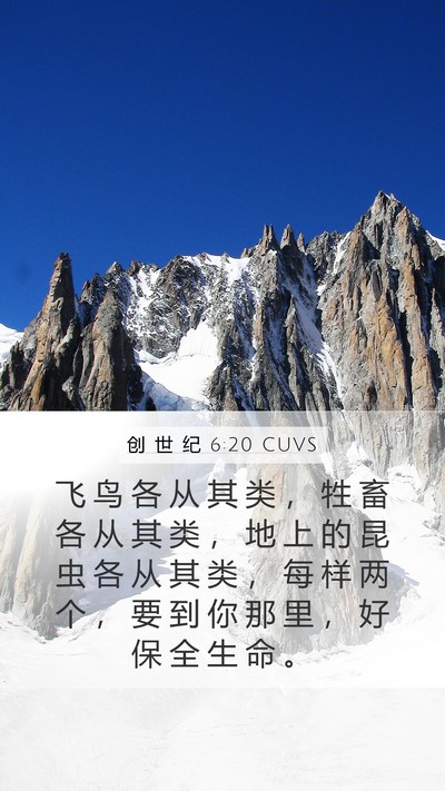 创 世 纪 6:20 CUVS Bible Verse Image