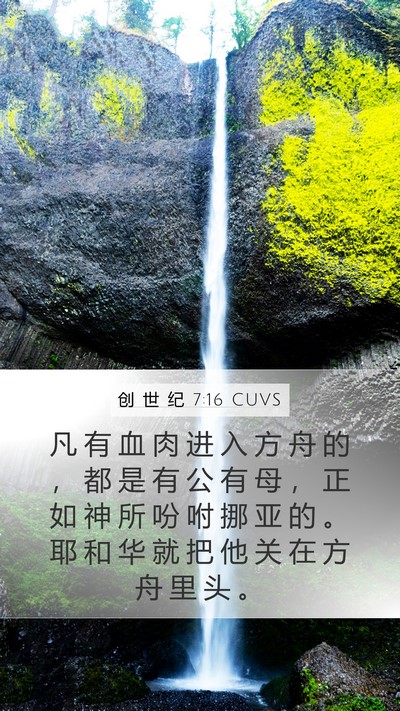 创 世 纪 7:16 CUVS Mobile Phone Wallpaper - 凡 有 血 肉 进 入 方 舟 的 ， 都 是 - Mobile Bible Verse Wallpaper
