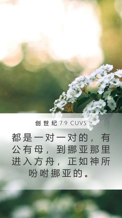 创 世 纪 7:9 CUVS Mobile Phone Wallpaper - 都 是 一 对 一 对 的 ， 有 公 有 母 - Mobile Bible Verse Wallpaper