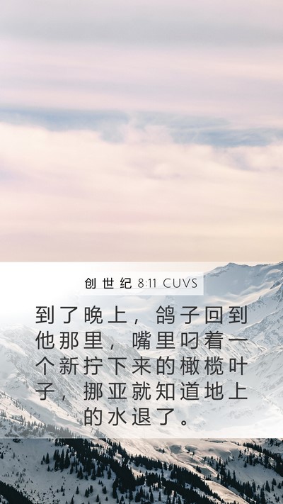 创 世 纪 8:11 CUVS Mobile Phone Wallpaper - 到 了 晚 上 ， 鸽 子 回 到 他 那 里 - Mobile Bible Verse Wallpaper