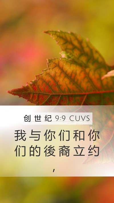 创 世 纪 9:9 CUVS Bible Verse Image