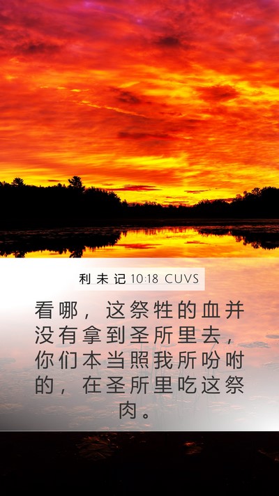 利 未 记 10:18 CUVS Mobile Phone Wallpaper - 看 哪 ， 这 祭 牲 的 血 并 没 有 拿 - Mobile Bible Verse Wallpaper