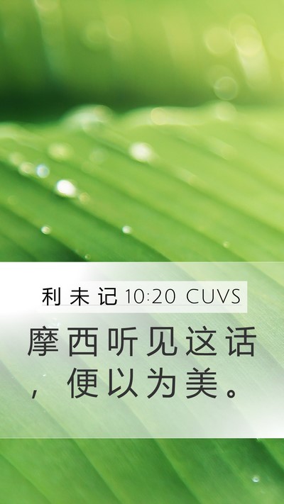 利 未 记 10:20 CUVS Mobile Phone Wallpaper - 摩 西 听 见 这 话 ， 便 以 为 美 - Mobile Bible Verse Wallpaper