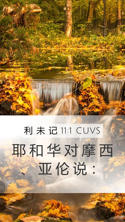利 未 记 11:1 CUVS Bible Verse Image