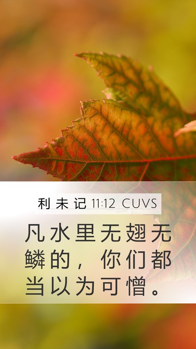 利 未 记 11:12 CUVS Mobile Phone Wallpaper - 凡 水 里 无 翅 无 鳞 的 ， 你 们 都 - Mobile Bible Verse Wallpaper