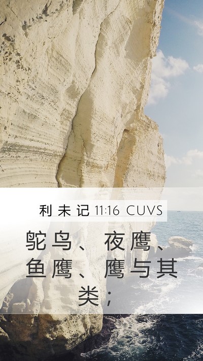 利 未 记 11:16 CUVS Mobile Phone Wallpaper - 鸵 鸟 、 夜 鹰 、 鱼 鹰 、 鹰 与 其 - Mobile Bible Verse Wallpaper