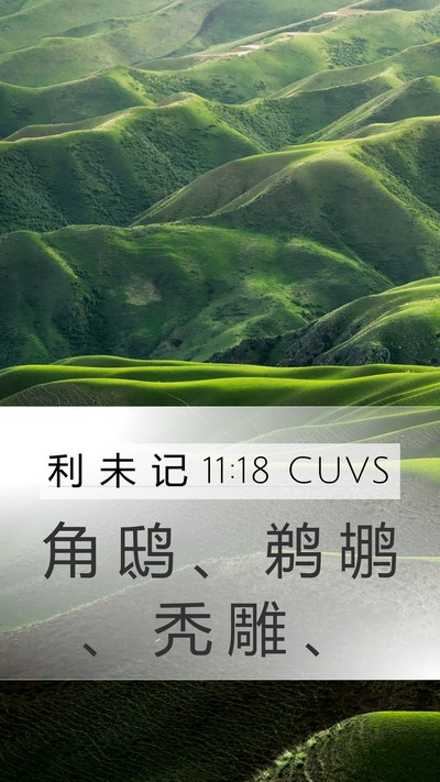 利 未 记 11:18 CUVS Mobile Phone Wallpaper - 角 鸱 、 鹈 鹕 、 秃 雕 - Mobile Bible Verse Wallpaper