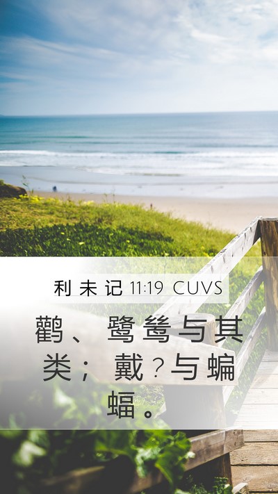 利 未 记 11:19 CUVS Bible Verse Image