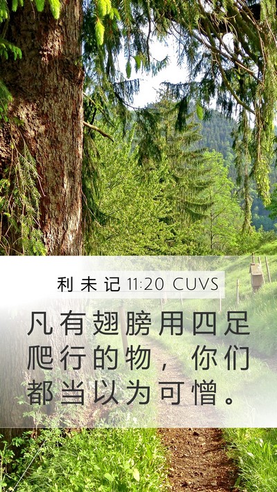 利 未 记 11:20 CUVS Bible Verse Image