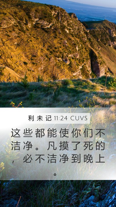 利 未 记 11:24 CUVS Bible Verse Image