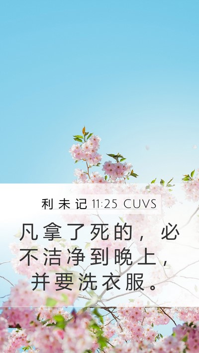 利 未 记 11:25 CUVS Bible Verse Image