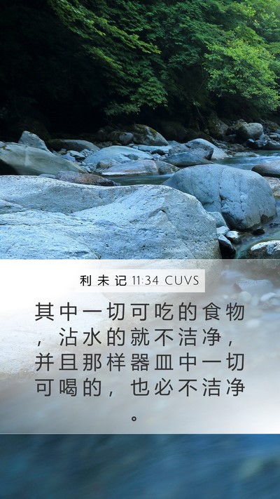 利 未 记 11:34 CUVS Mobile Phone Wallpaper - 其 中 一 切 可 吃 的 食 物 ， 沾 水 - Mobile Bible Verse Wallpaper