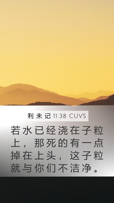 利 未 记 11:38 CUVS Mobile Phone Wallpaper - 若 水 已 经 浇 在 子 粒 上 ， 那 死 - Mobile Bible Verse Wallpaper