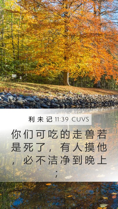 利 未 记 11:39 CUVS Bible Verse Image
