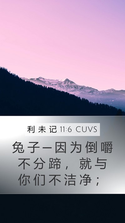 利 未 记 11:6 CUVS Mobile Phone Wallpaper - 兔 子 ─ 因 为 倒 嚼 不 分 蹄 ， 就 - Mobile Bible Verse Wallpaper