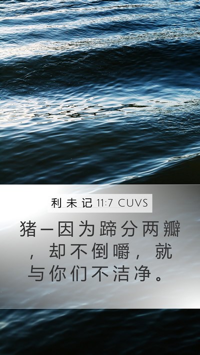 利 未 记 11:7 CUVS Bible Verse Image