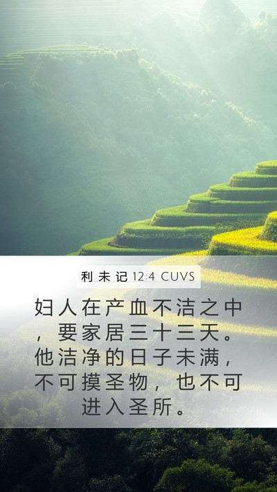 利 未 记 12:4 CUVS Mobile Phone Wallpaper - 妇 人 在 产 血 不 洁 之 中 ， 要 家 - Mobile Bible Verse Wallpaper