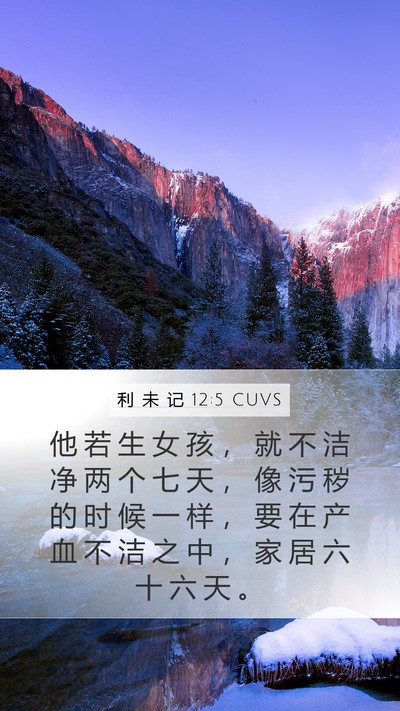 利 未 记 12:5 CUVS Mobile Phone Wallpaper - 他 若 生 女 孩 ， 就 不 洁 净 两 个 - Mobile Bible Verse Wallpaper