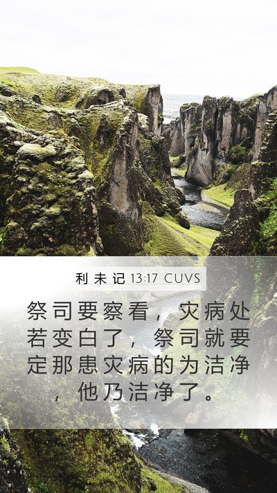 利 未 记 13:17 CUVS Mobile Phone Wallpaper - 祭 司 要 察 看 ， 灾 病 处 若 变 白 - Mobile Bible Verse Wallpaper
