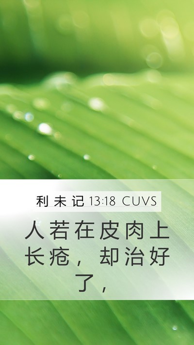 利 未 记 13:18 CUVS Mobile Phone Wallpaper - 人 若 在 皮 肉 上 长 疮 ， 却 治 好 - Mobile Bible Verse Wallpaper