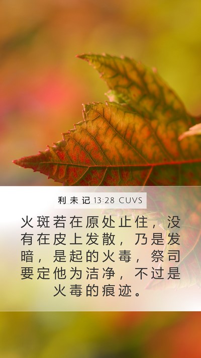 利 未 记 13:28 CUVS Mobile Phone Wallpaper - 火 斑 若 在 原 处 止 住 ， 没 有 在 - Mobile Bible Verse Wallpaper