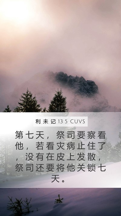 利 未 记 13:5 CUVS Mobile Phone Wallpaper - 第 七 天 ， 祭 司 要 察 看 他 ， 若 - Mobile Bible Verse Wallpaper