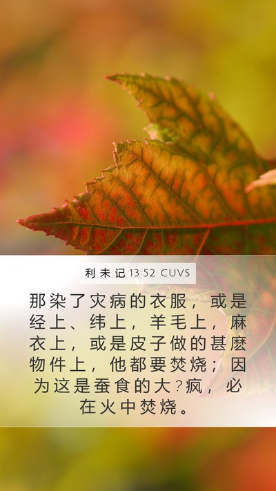 利 未 记 13:52 CUVS Mobile Phone Wallpaper - 那 染 了 灾 病 的 衣 服 ， 或 是 经 - Mobile Bible Verse Wallpaper