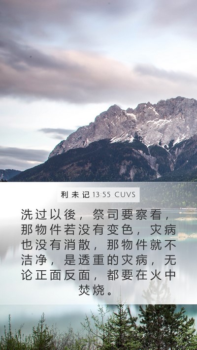 利 未 记 13:55 CUVS Mobile Phone Wallpaper - 洗 过 以 後 ， 祭 司 要 察 看 ， 那 - Mobile Bible Verse Wallpaper