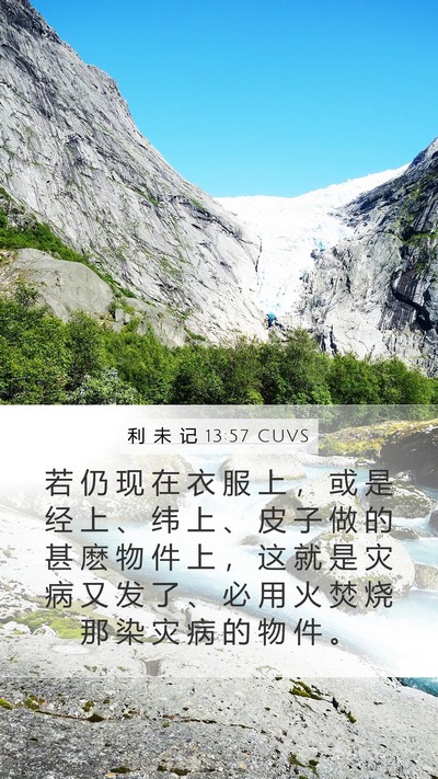 利 未 记 13:57 CUVS Bible Verse Image