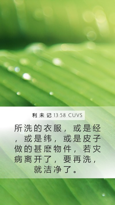 利 未 记 13:58 CUVS Mobile Phone Wallpaper - 所 洗 的 衣 服 ， 或 是 经 ， 或 是 - Mobile Bible Verse Wallpaper